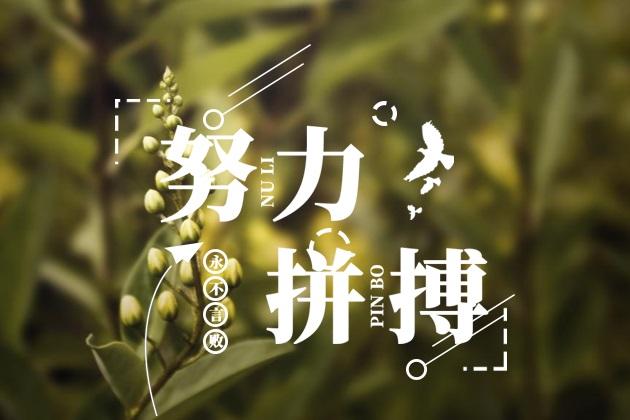 给我一份信任,还你10分满意(图3) 给我一份信任,还你10分满意(图3)