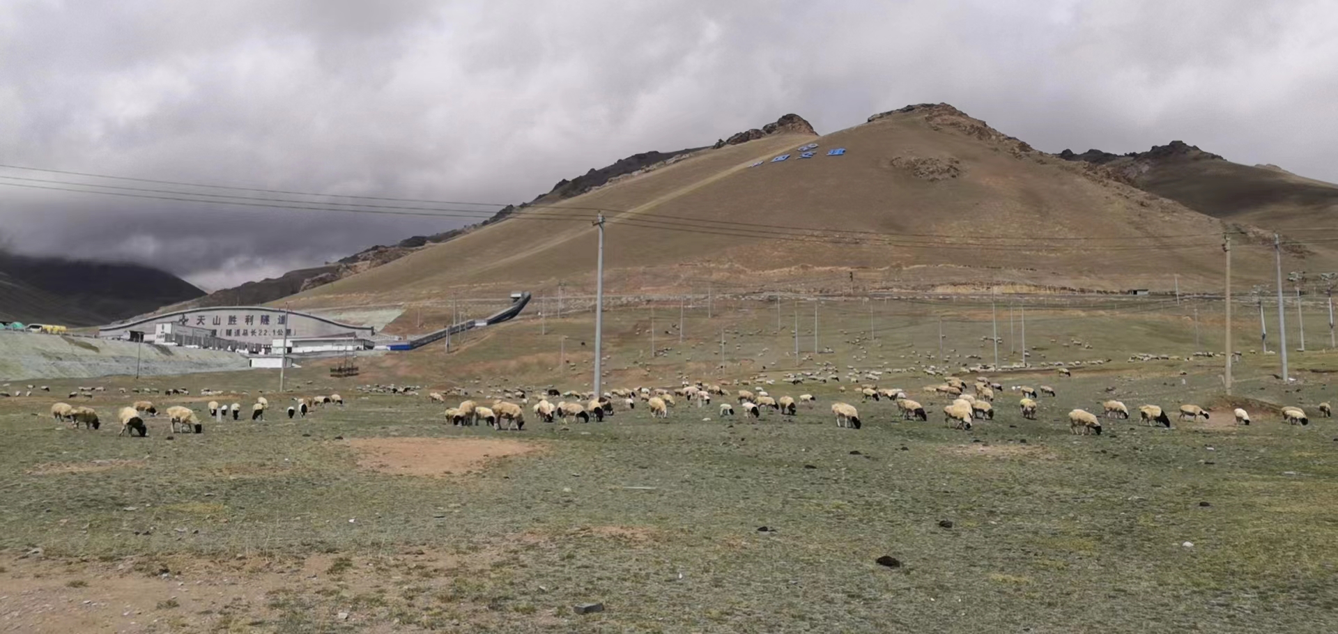 通往新疆的列车(图2)